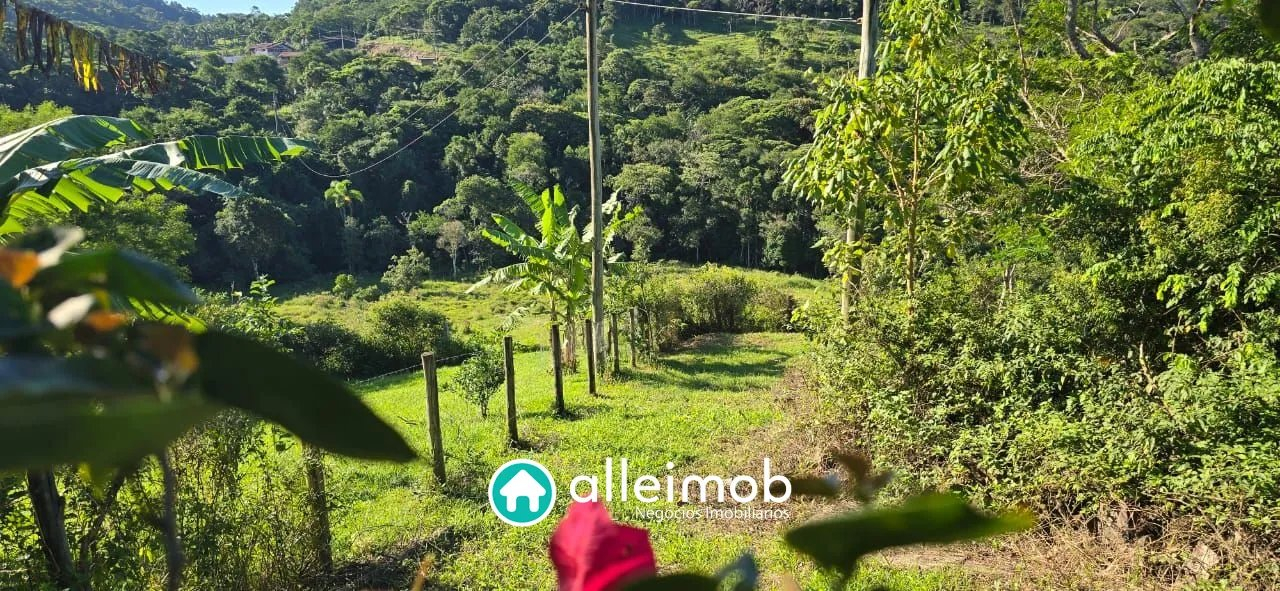 Terreno no Siriú – foto 3