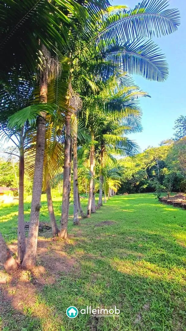 Terreno em Garopaba – foto 5